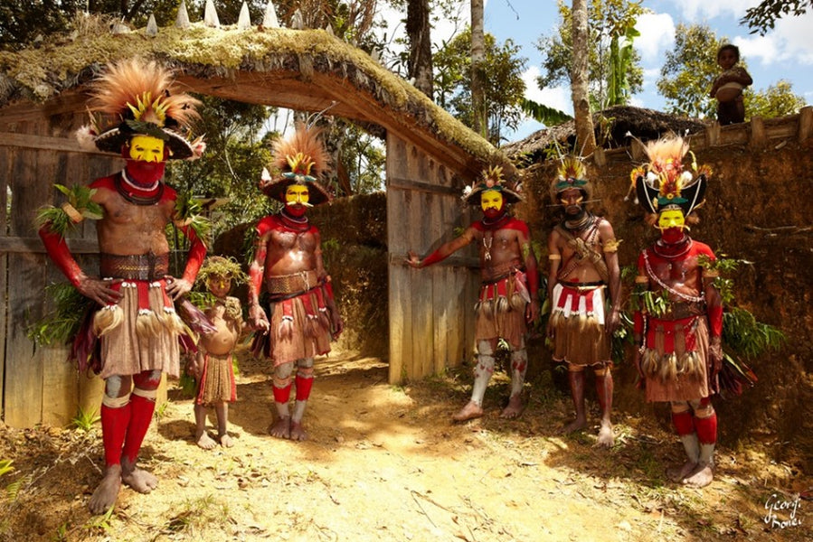 Unique Tribes of The World: The Huli Wigmen