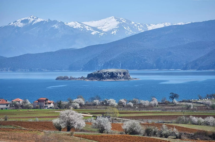 The Borderless Experience: Lake Prespa