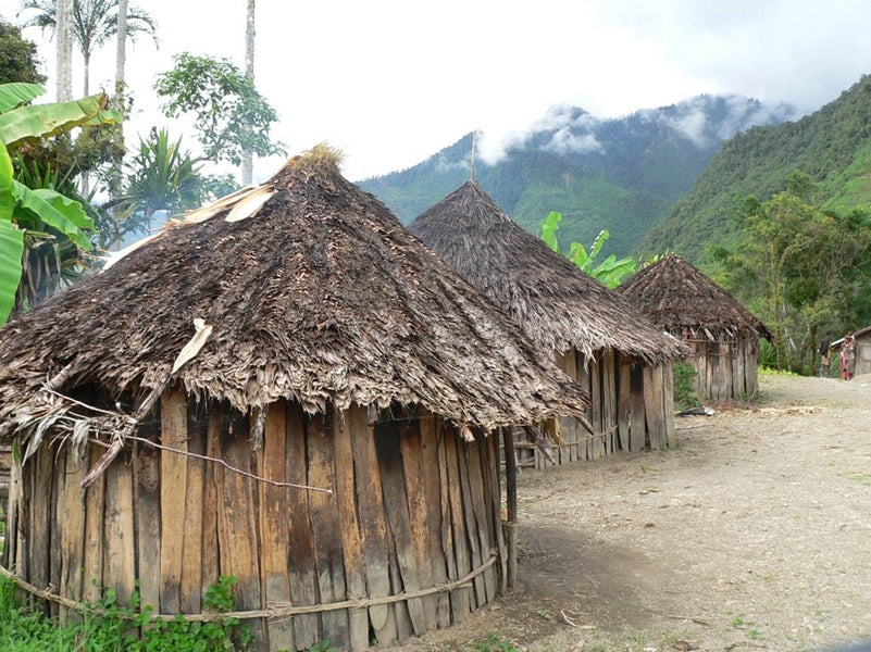 Unique Tribes of The World: The Yali People