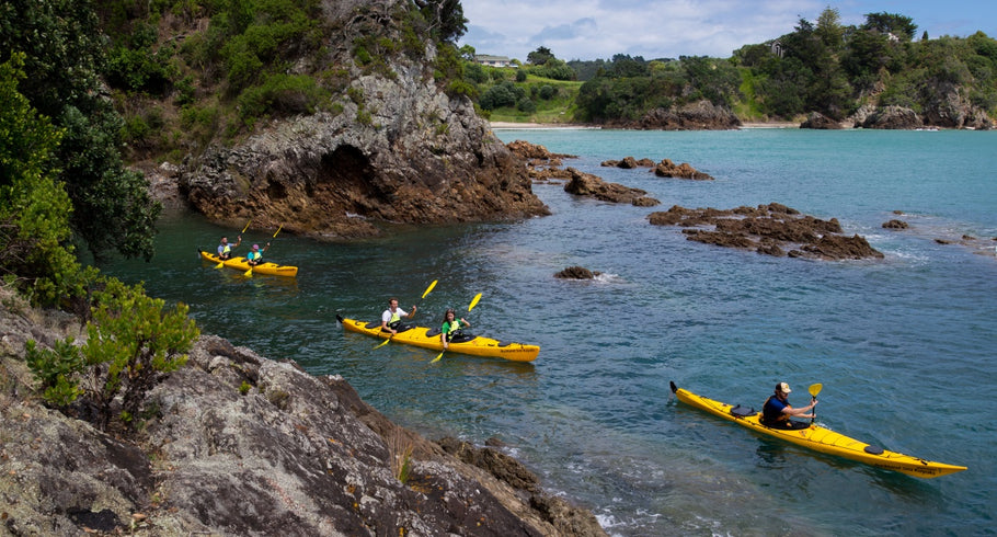 An Adventurer’s Guide: Top 5 Water Sports in New Zealand